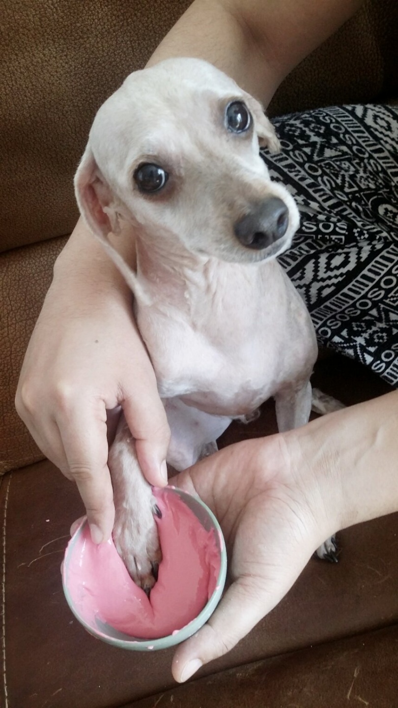 1891350264_Bwf02Pey_14a088cdd3adcdf28273a84772f31e89ef970df8.jpg 이미지크게보기