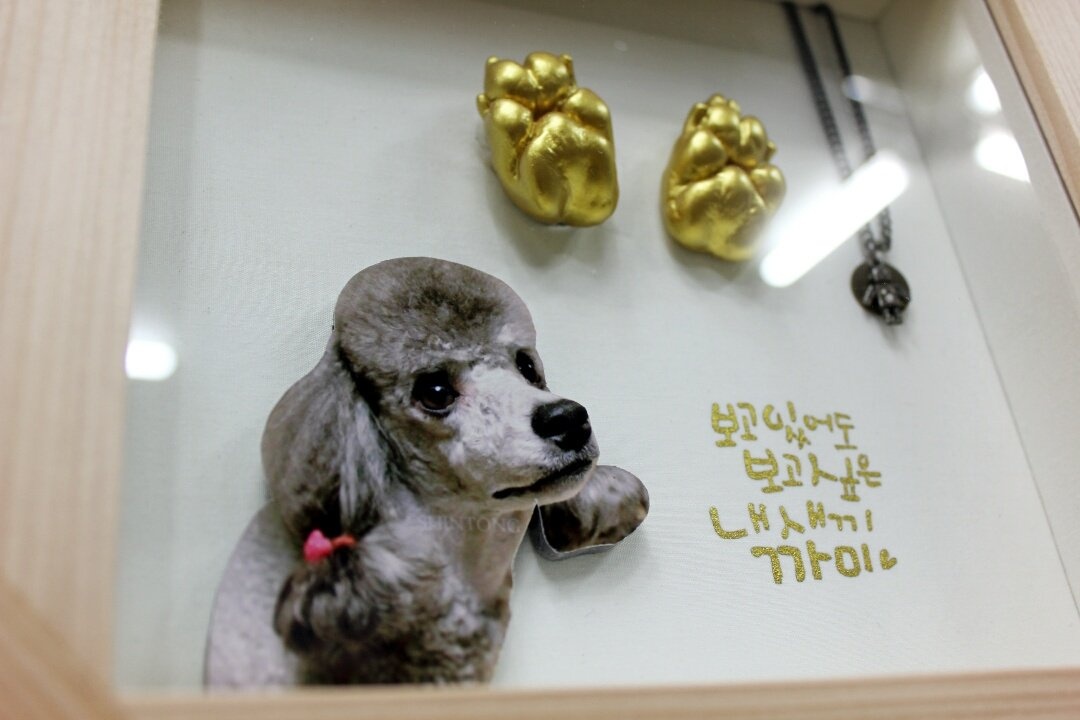 1891350264_hYKBpeE3_9e4dd6085ae97d1b913f4d12137553f692c46eca.jpg 이미지크게보기