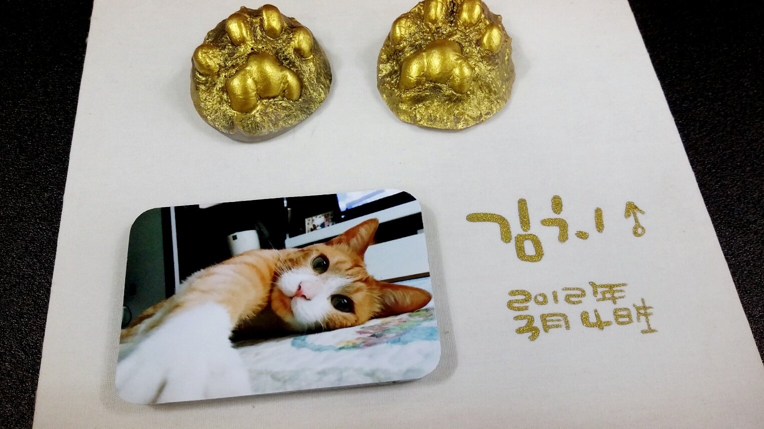 3695750758_kP5XNue9_a6c0c3f7ce97935c21adc7f01b5e1de2daaca6cb.jpg 이미지크게보기