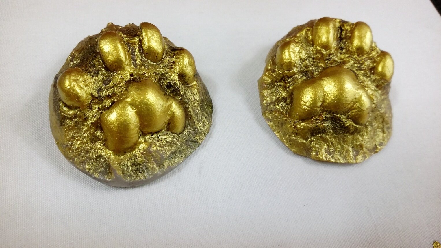 3695750758_lAb14KSN_5febbb74c6bbbba7bd8679db0fb83f579501e200.jpg 이미지크게보기